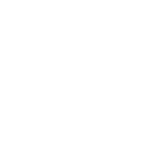 Bottega Veneta logo