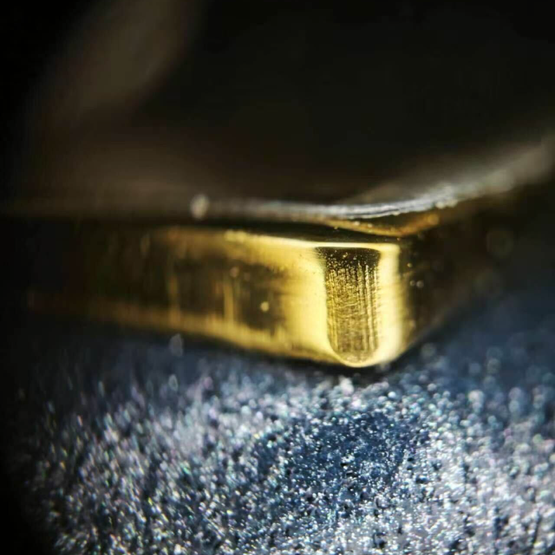 Chanel Chanel 19 — Microchip Side Profile